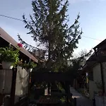 Casa Mola בית אירוח