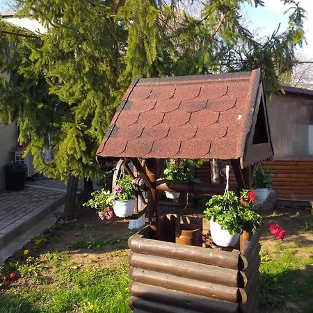 Casa Mola Homestay szállás Mangalia