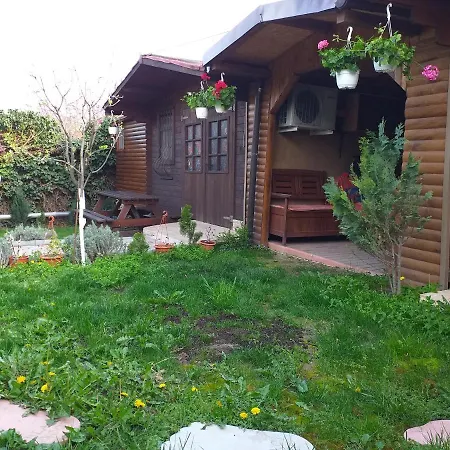 Casa Mola 홈스테이 *